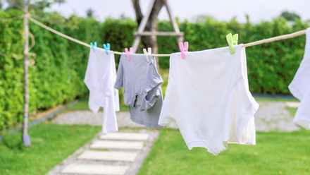 shutterstock_2433902631.jpg 1
