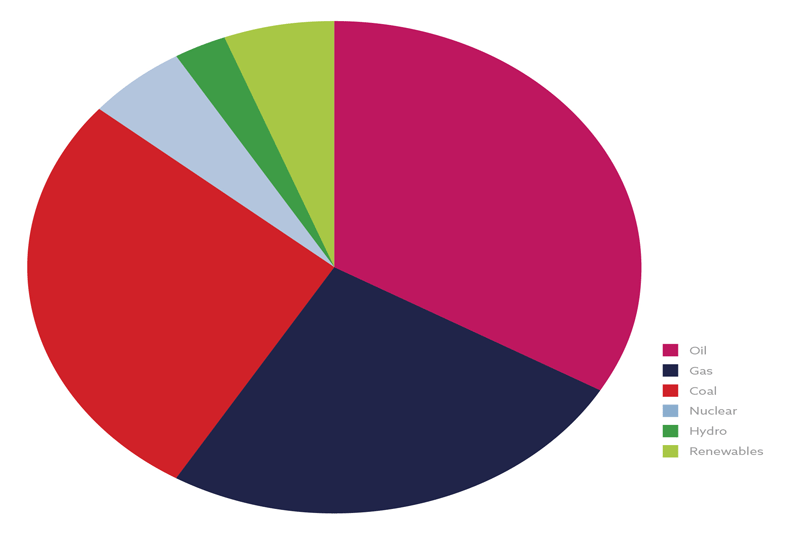 A pie graph