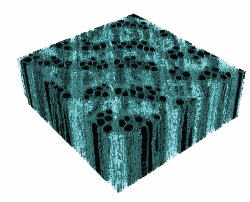 Distribution of the iron mineral in the wood cell wall