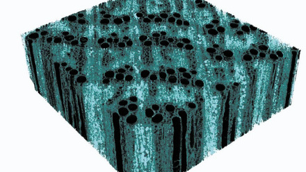 Microtomography_Oak-ferrihydrite_3D CMYK.jpg