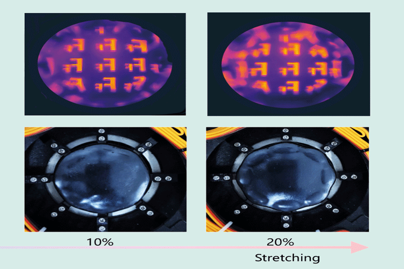Dour squares with each containing a close up images of lenses