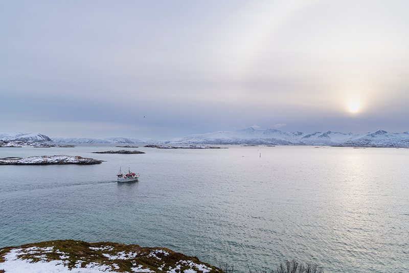 Stock image of a fishing boat going out into the Norwegian Arctic ocean