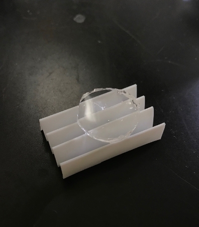 Calcium alginate hydrogel fabricated using carbonated water
