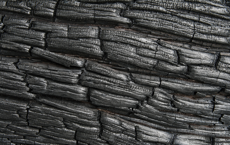 Relief texture of wood burned