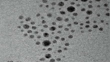 CuO_NP_TEM CMYK.jpg