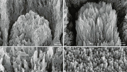 Toothenamel (2) CMYK.jpg