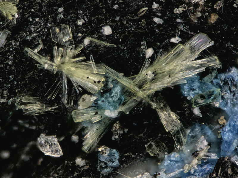 Mineral