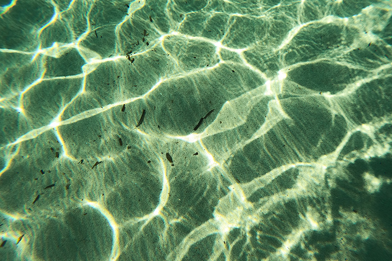 reflected sunlight on a shallow seabed