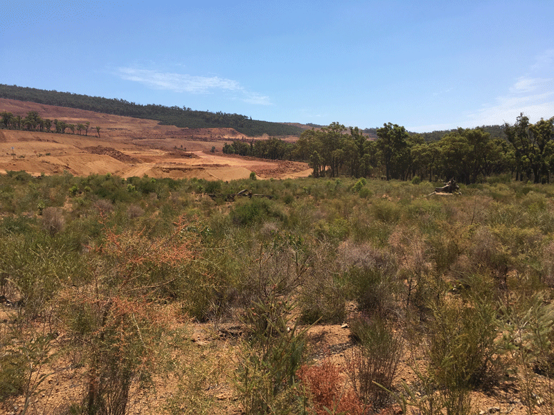 Areas of active mining, rehabilitation and undisturbed native vegetation at the South32 Worsley Alumina mine site, Australia 