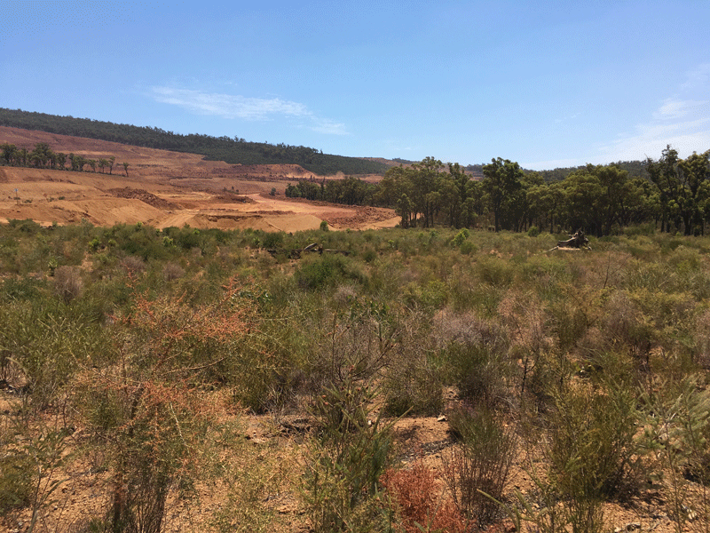 Areas of active mining, rehabilitation and undisturbed native vegetation at the South32 Worsley Alumina mine site, Australia