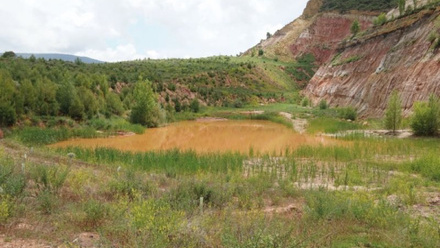 Lagoon_ 2021.jpg 2