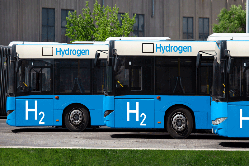A blue bus