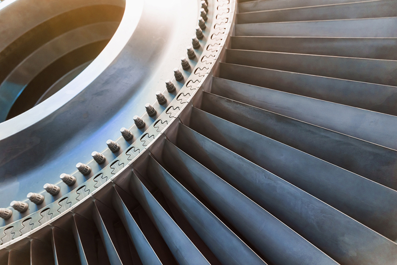 The fan blades of a gas turbine