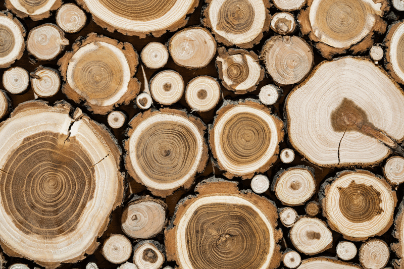 Lots of wood cut in the middle