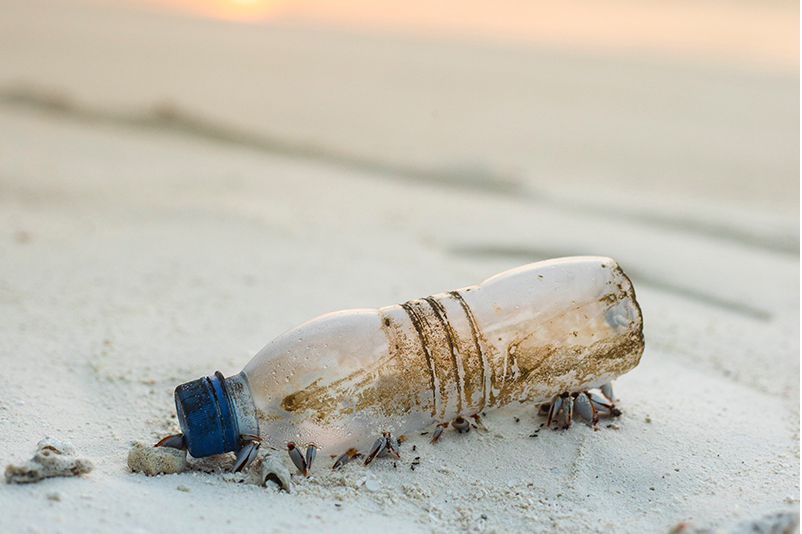 plastic bottle on a white sandy beach with crabs underneath