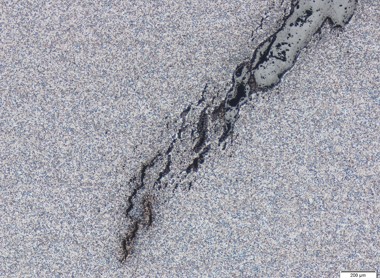 cracktip50x.jpg