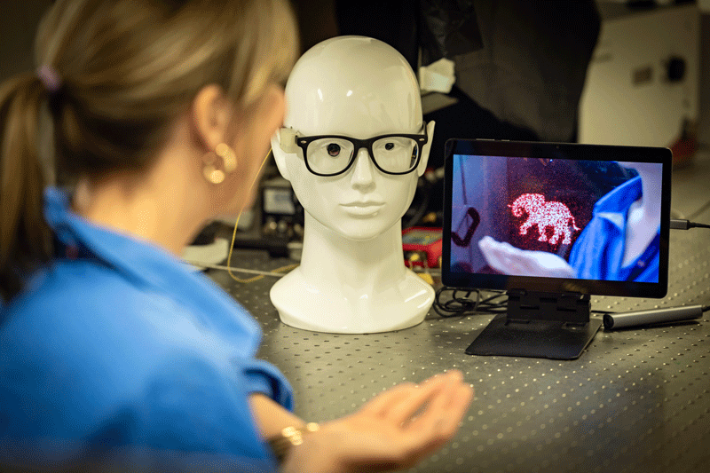 A model of a head with glasses