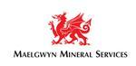 Maelgwin logo