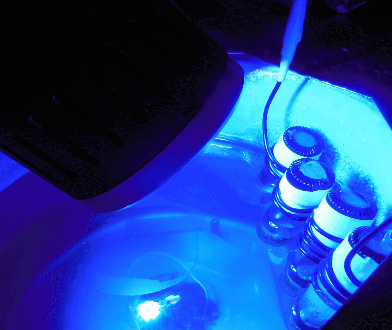 Reaction vials being exposed to blue light from an LED