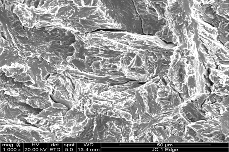 A micrograph