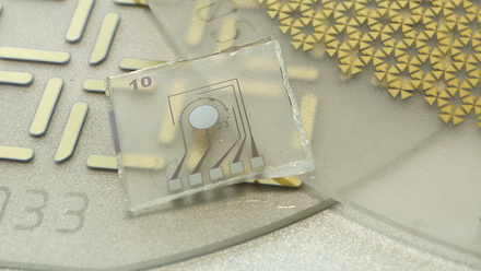Paragraf's chips.JPG 1