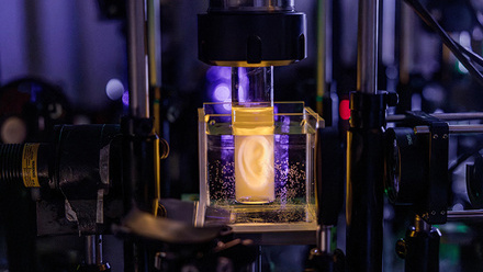 Holographic projection of a human ear model on a sample vial. 2026 Adrien ButtierEPFL CC BY SA.jpg
