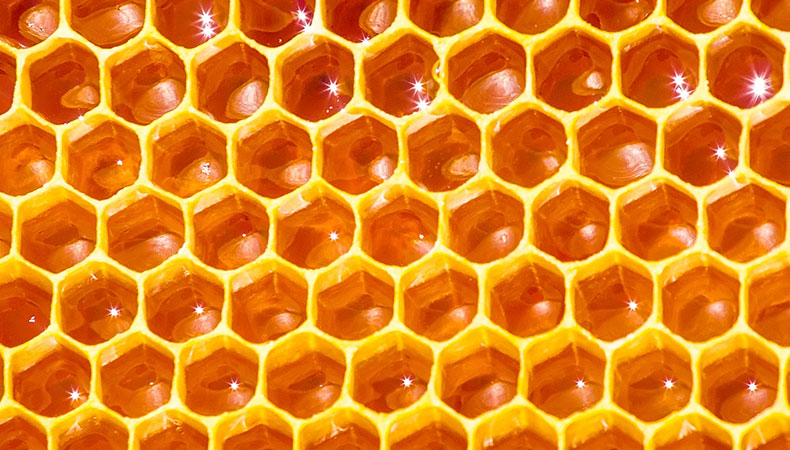 honeycomb