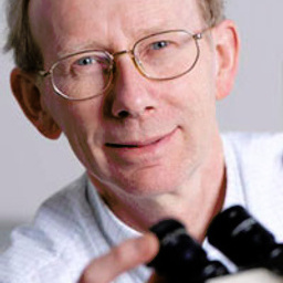 Dr Roger  Morrell
