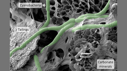 MW_Jul-Aug2023_p6_Microbes_HeroImage4Web.jpg