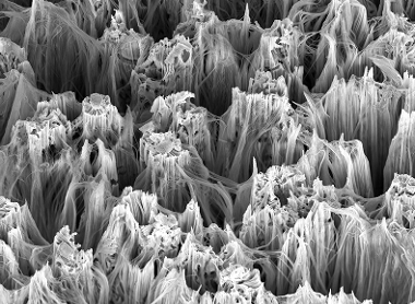 shutterstock_299377271 Nanomaterials nanotechnology silicon nanowireselectron microscope.jpg
