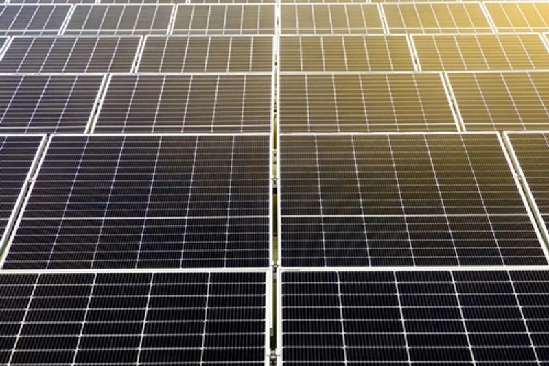 Rows of solar panels