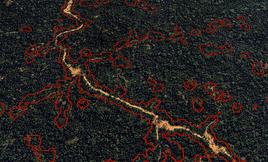 logged.forest.2023.plus.detections.google.earth.jpg