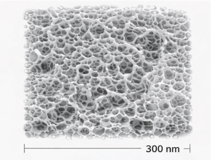 Schematic representation of the general surface morphology of a nanoscale adsorbent medium, porous network by scanning electron microscopy