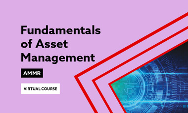 Asset management 24 web
