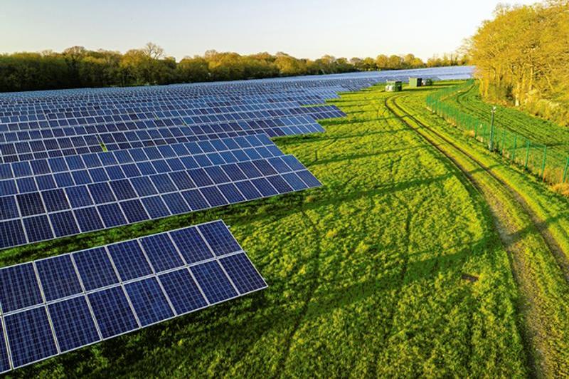 arrays of solar panels in a field in evening sunshine