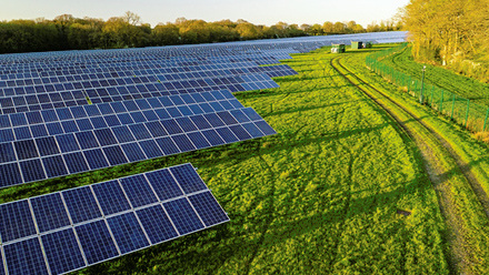 arrays of solar panels in a field in evening sunshine