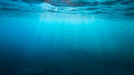 cristian-palmer-XexawgzYOBc-unsplash.gif