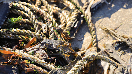 MW_Sep2023_p51SeaweedRope_Hero4Web.jpg