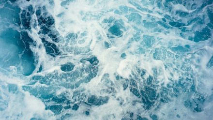 christoffer-engstrom-wc9avd2RaN0-unsplash.jpg