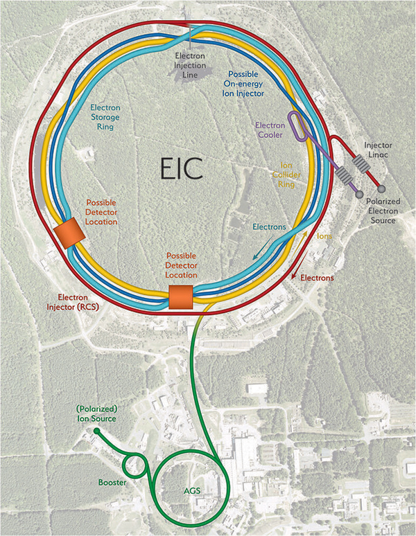 Schematic of the EIC