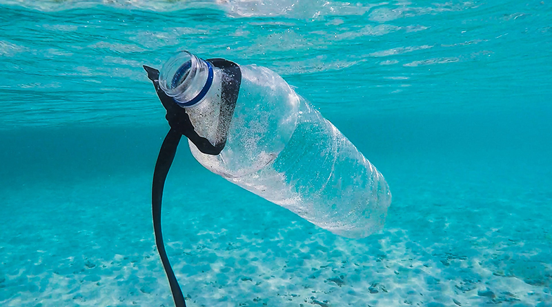 bottle in sea