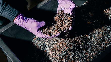 Processing 6 photo cylib - Jann Höfer[94].jpg