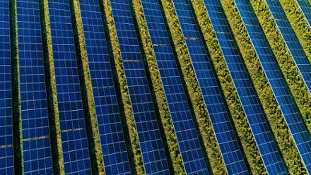 shutterstock_692274271 Decarbonisation : Net Zero.jpg