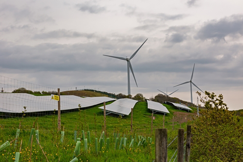 Solar panels and wind turbines on a grassy hill with young trees planted