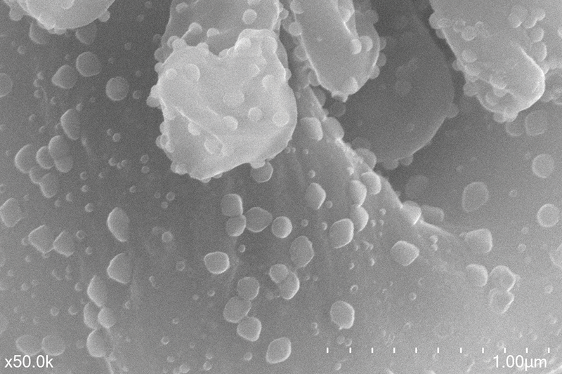 A micrograph of pyrolysed nanocellulose biochar taken at 50,000x magnification using scanning electron microscopy