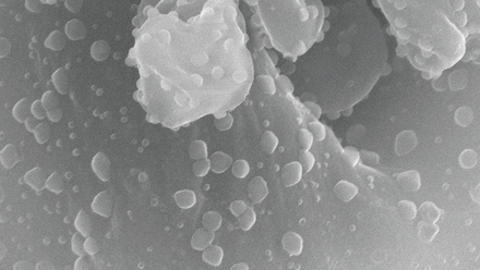 YM1-5-CNCC-500_1_50000x_web.png