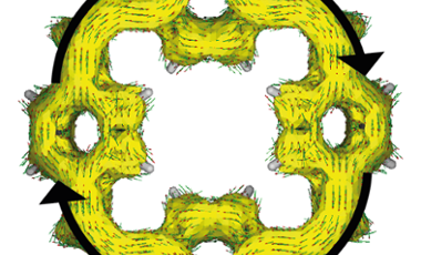 Image_1.png