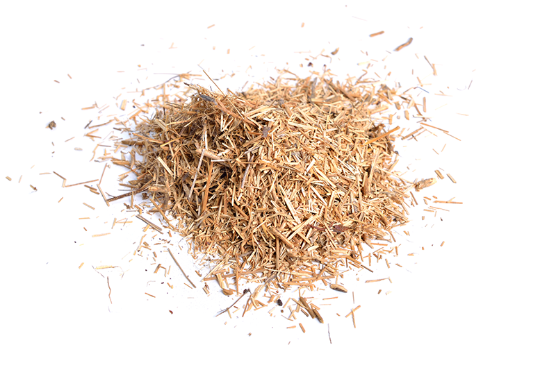 Hemp
