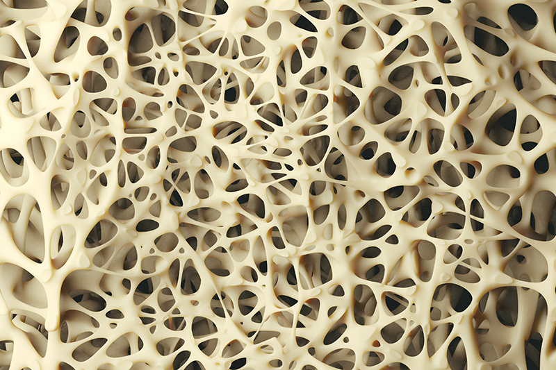 White-coloured spongy bone structure close-up, showing a healthy texture of bone