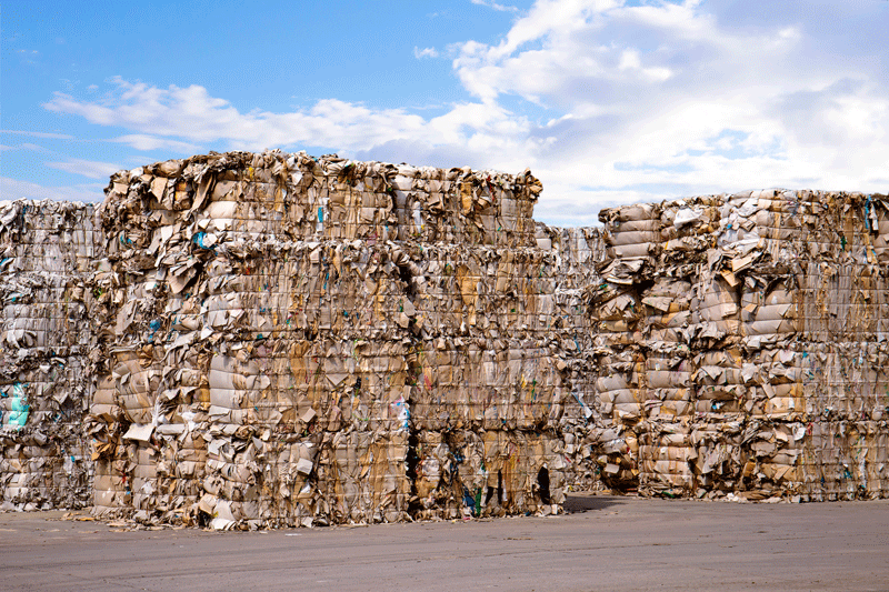 Waste cardboard piled up